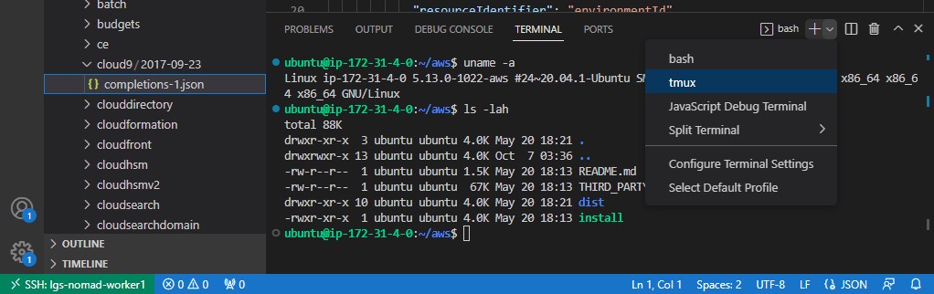 remote host terminal